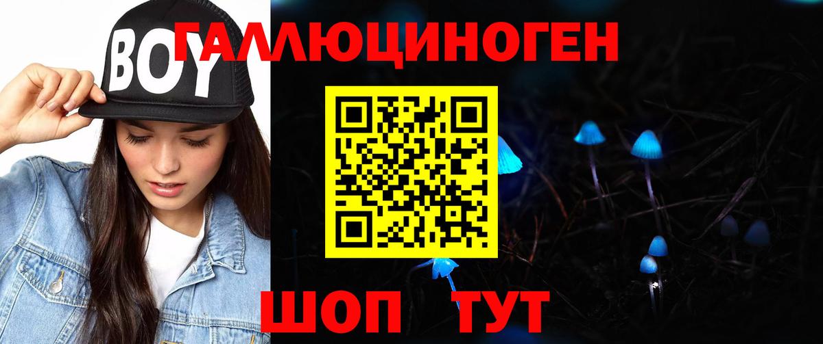 Нефтекумск  Псилоцибиновые грибы GOLDEN TEACHER  Вход с VPN  хочу   Галлюциногенные грибы Psilocybe 