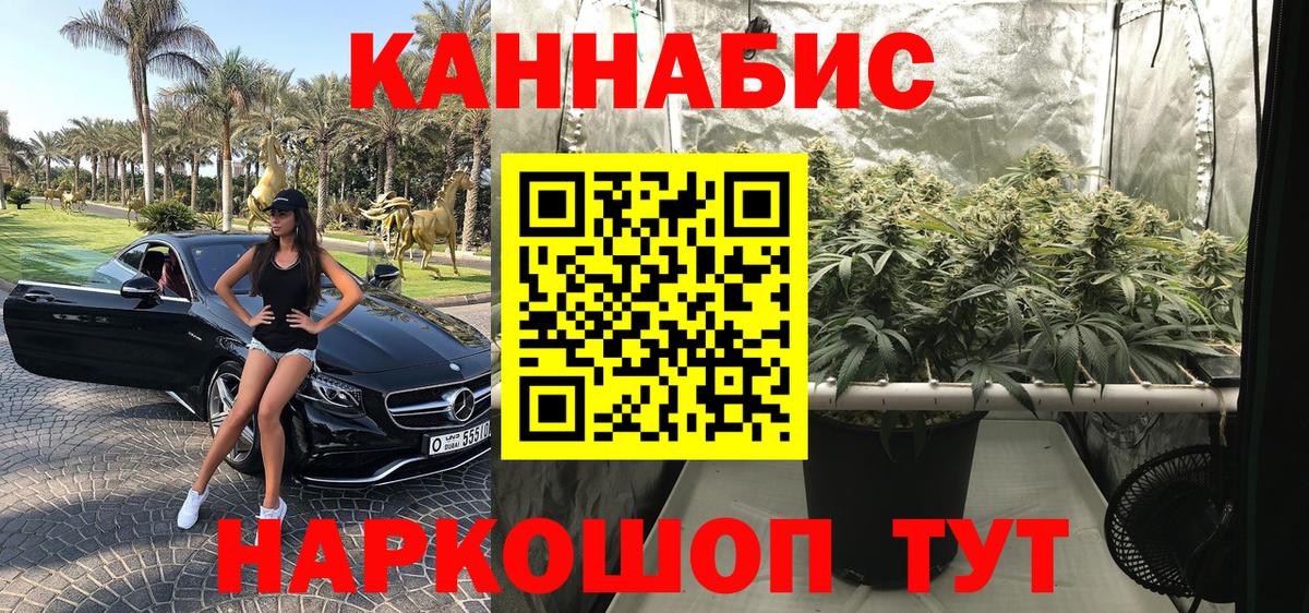 Нефтекумск  Шишки марихуана гибрид  Конопля Bruce Banner  Вход с VPN 